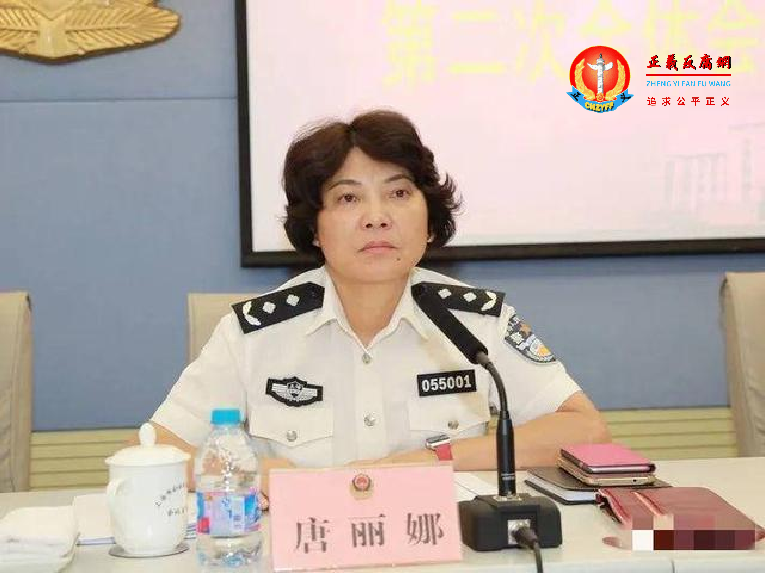 干了近9年纪委书记的副厅级上海公安局奉贤分局女局长唐丽娜落马