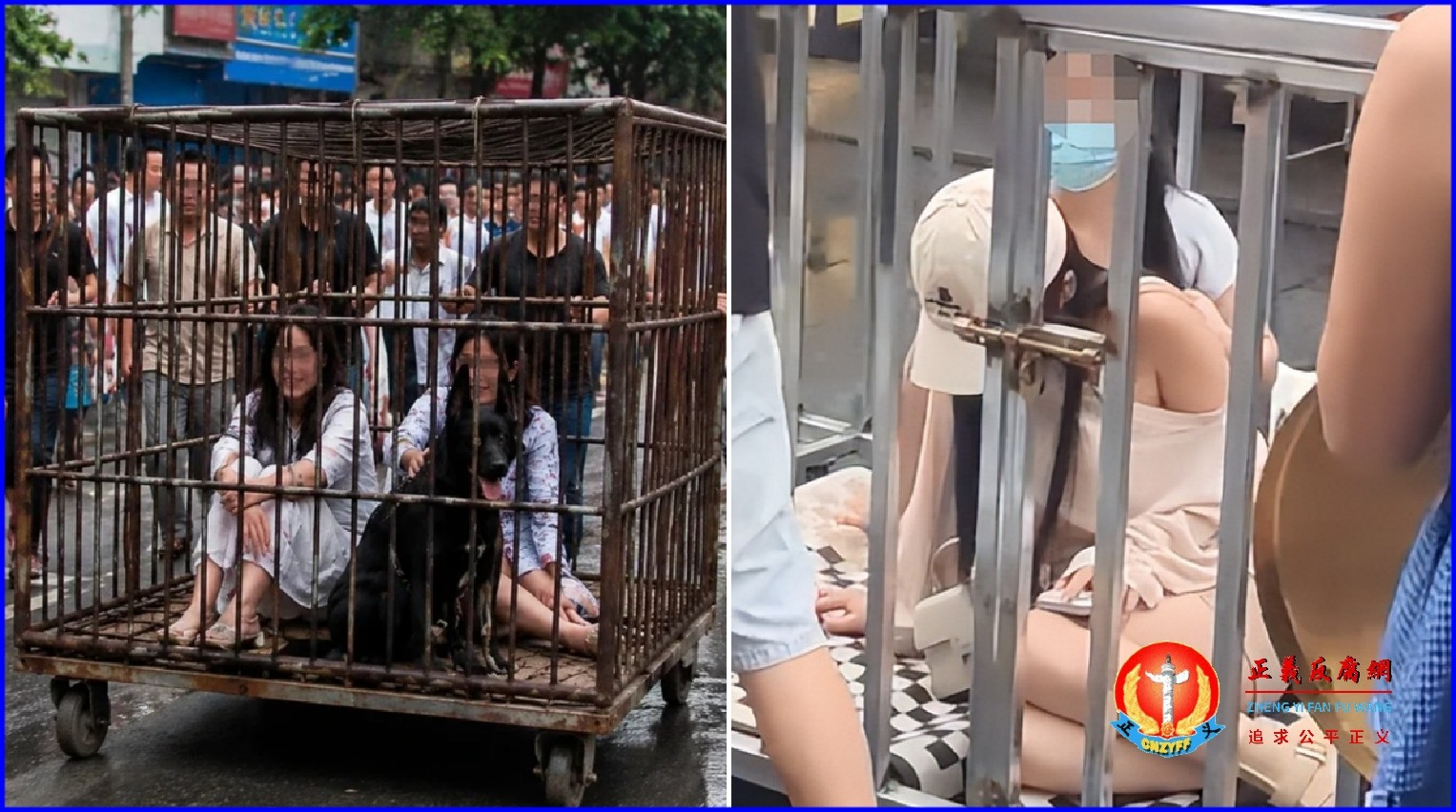 湖南汨罗街头,两名女子和一只黑狗被关在铁笼中游街。.jpg 湖南汨罗街头,两名女子和一只黑狗被关在铁笼中游街。.jpg